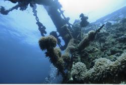 Photo Reference of Umbria Wingate Reef - Sudan